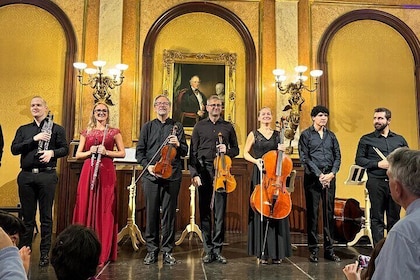Vienna Private Classical Music Tour: Museum Entry & Concert