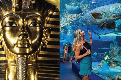 Tomb of the Pharaohs and Cairns Aquarium Combo