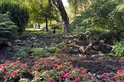 Casual Local Haunts Private Tour of Victoria, BC