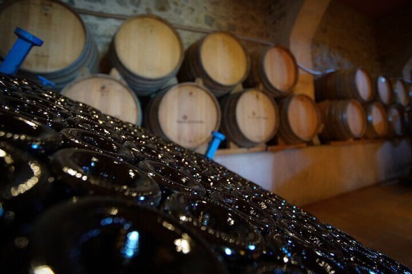 E-bikeTour, Vineyard&Wine Tasting,Sailing Experience (car option)