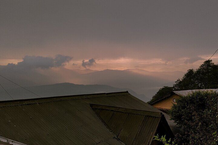 Darjeeling Forests on Foot