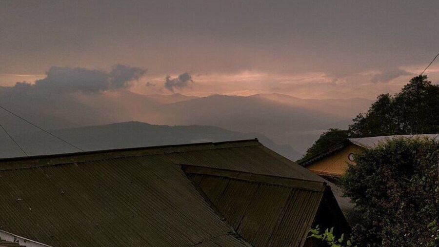Darjeeling Forests on Foot