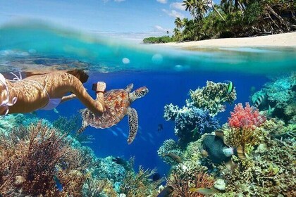 All-inclusive Bali Blue Lagoon Snorkelling Adventure