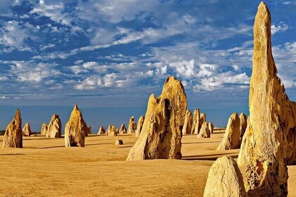 6 Hours Pinnacles Express Tour