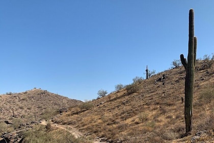 Phoenix South Mountain Hiking Tour Experience