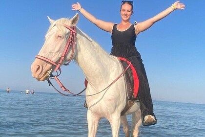 Hurghada horse riding