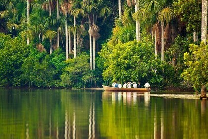 Puerto Maldonado 2 Day Tour to the Peruvian Jungle of Tambopata