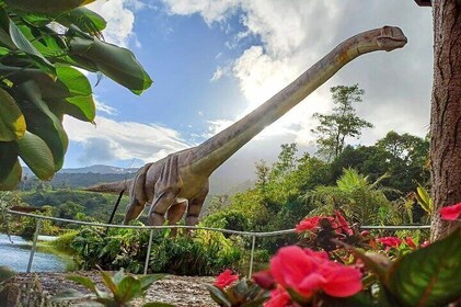 Bajos del Toro Jurassic Adventure and Waterfalls from La Fortuna