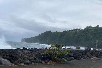 Shared Full-day Hamakua Coast and Sugar Tour from Hilo Hi