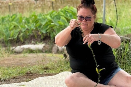 Hawaiian Culture Experience with Lei Making on Big Island