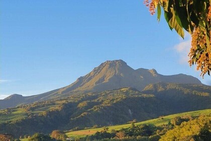 Caribbean Northern Circuit