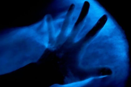 Bioluminescent Kayak Tour in Floridas Indian River Lagoon