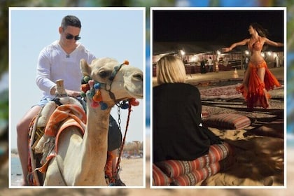 1-Hour Camel Ride, Bedouin night, Dinner,Transfer-Sharm El Sheikh