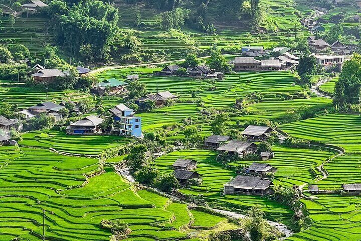 Discover Sapa: Guided Trek Through Rice Terraces & Local Villages