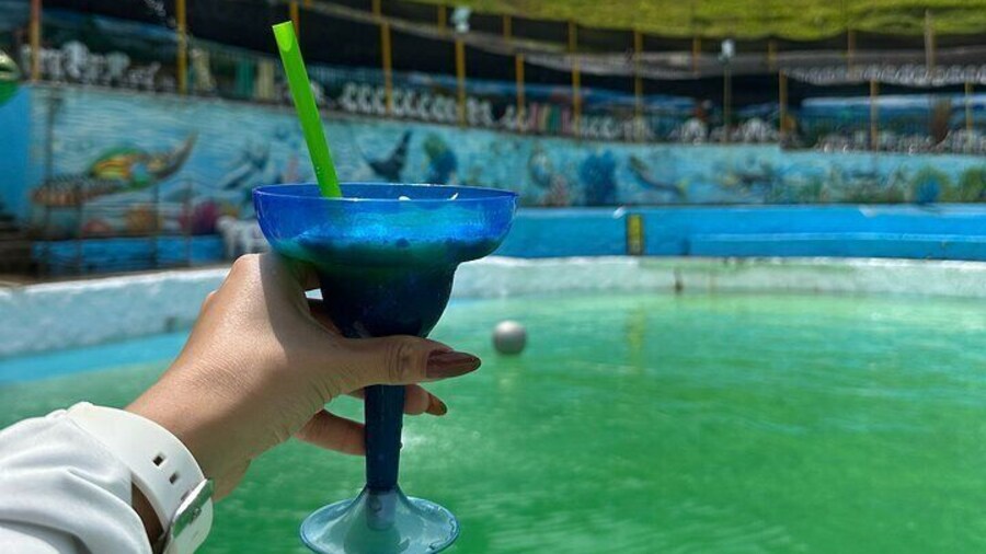 Medellin Tour to Cocorna Slide Extreme Paragliding and Rafting