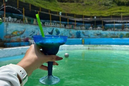 Medellin Tour to Cocorna Slide Extreme Paragliding and Rafting