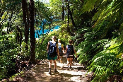 Picton Shore Excursion Kaipupu Sanctuary Water Taxi