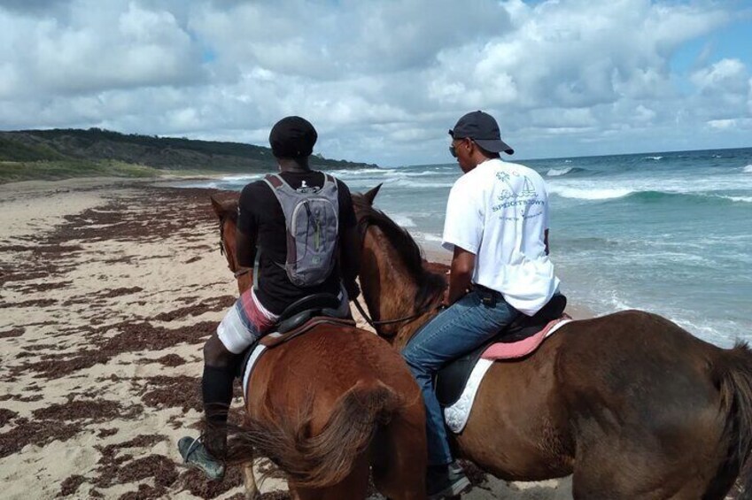 On horseback on the beach