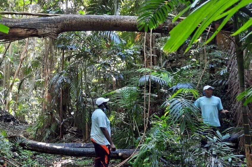 ECO Tour East Coast Barbados