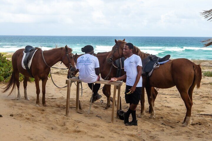 ECO Tour East Coast Barbados