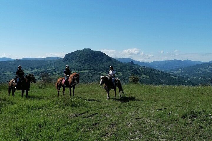 Horseback Ride with Lunch at a Farmhouse in Vergato