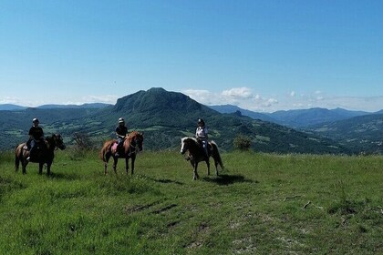 Horseback Ride with Lunch at a Farmhouse in Vergato