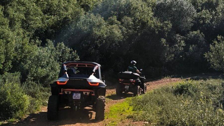 Coimbra Buggy Adventures - Baptism 60 min