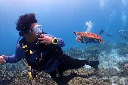 Phuket Scuba Diving Racha Islands for All Level Divers
