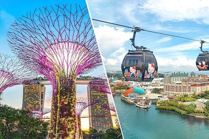 Singapore Cable Car Sky Pass & Gardens by the Bay Tickets