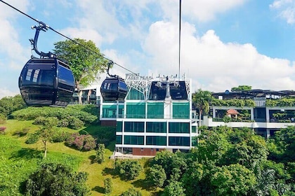 Singapore Cable Car Sky Pass & Gardens by the Bay Tickets