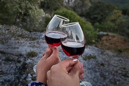 Barcelona: Magic Montjuïc Tour with Wine Tasting