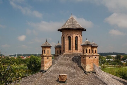 Private Tour from Bucharest: Dracula’s Tomb & Royal Palace