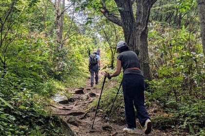 Guided Shioya Maruyama Hike with Scenic Views and Snacks