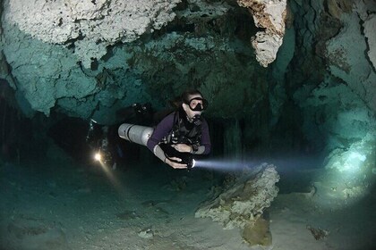 Personalized Snorkeling and Diving Experience in Riviera Maya