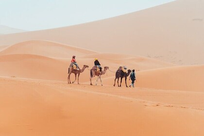 9 Day Private Morocco Tour Casablanca Desert and Imperial Cities