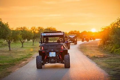 2 Hour Guided Buggy Tour from Fazana to Bale with Local Guides