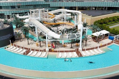 Busan CLUBD OASIS Spa and Water Park Ticket