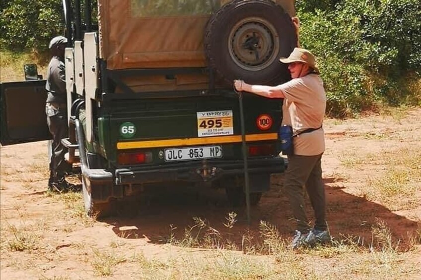 2-Day Luxury Kruger Safari from Johannesburg