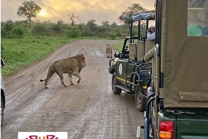 All-inclusive 2 Day Kruger Safari from Nelspruit