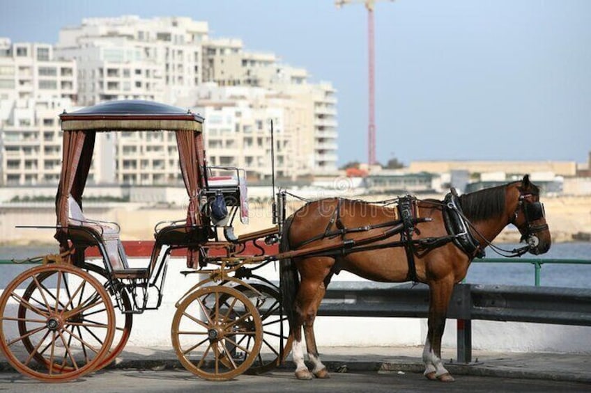Horse With carriage Takes you Around Medina