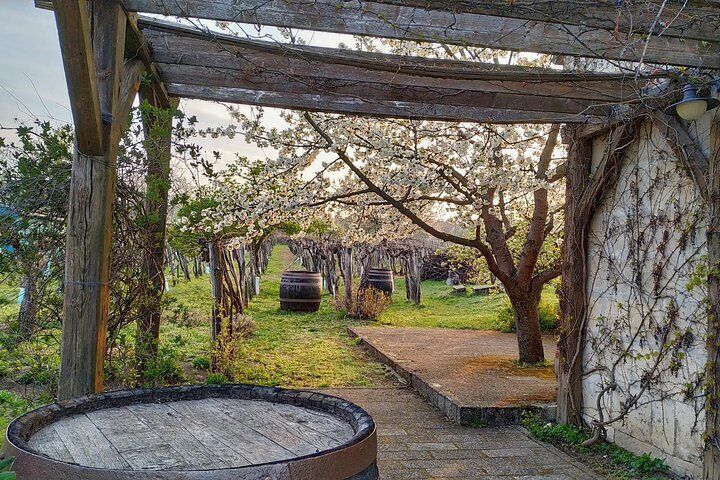 ETYEK wine trip - Just a stone’s throw away from Budapest