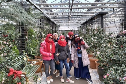 Jeju Island Tour West and South