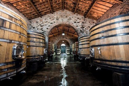 Tenimenti d'Alessandro - Winery visit and wine tasting