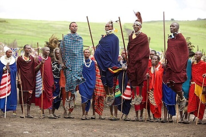Authentic Maasai and Hadzabe Cultural Experience