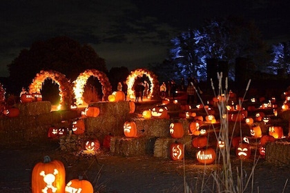 Nightfall at Filoli