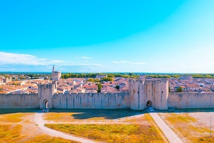 Aigues Mortes and the Incredible Camargue Magic Private Tour