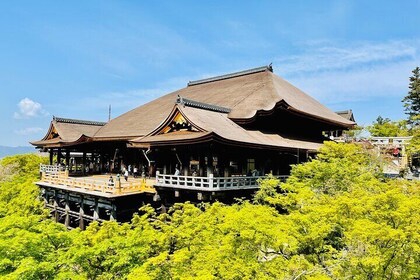 Explore History and Culture in Kyoto