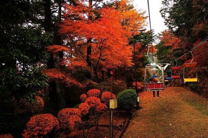 Tokyo: Mt. Takao Tour with Ramen and Tattoo-OK Hot Spring