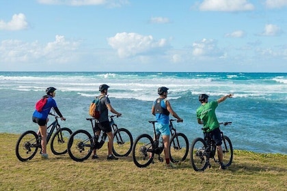 Wild South E-bike Adventure
