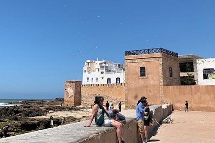 2 Day Tour from Marrakech to Essaouira and Taghazout Agadir Coast